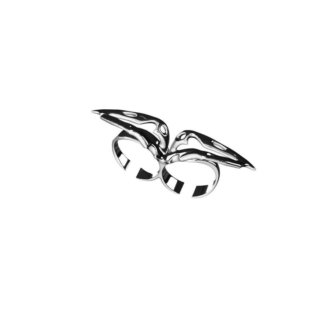 EXPLORER RING